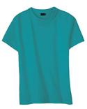 Hanes Ladies' 4.5 oz 100% Ringspun Cotton nano-T T-shirt