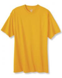 Hanes 6.1 oz. 100% Cotton Tee