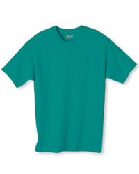 Hanes 6.1 oz. 100% Cotton Tee