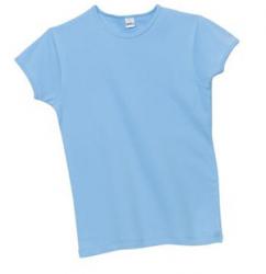 Ladies Scoop Neck Tee