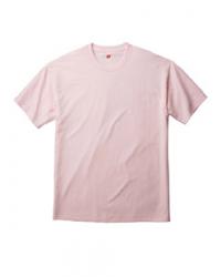 Hanes 6.1 oz. 100% Cotton Tee