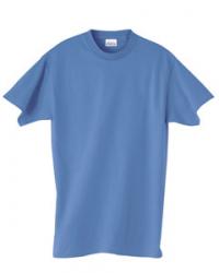 Hanes Heavyweight 50/50 Tee