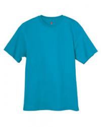 Hanes 6.1 oz. 100% Cotton Tee