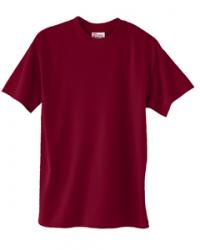 Hanes Heavyweight 50/50 Tee