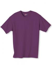 Hanes 6.1 oz. 100% Cotton Tee