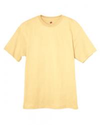 Hanes 6.1 oz. 100% Cotton Tee