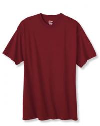 Hanes 6.1 oz. 100% Cotton Tee