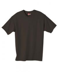 Hanes 6.1 oz. 100% Cotton Tee