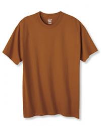 Hanes 6.1 oz. 100% Cotton Tee