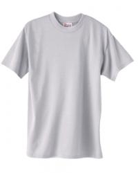 Hanes Heavyweight 50/50 Tee