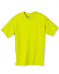 Hanes 6.1 oz. 100% Cotton Tee