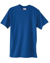 Hanes Heavyweight 50/50 Tee