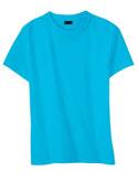 Hanes Ladies' 4.5 oz 100% Ringspun Cotton nano-T T-shirt