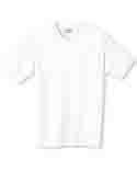 Hanes 4.5 oz 100% Ringspun Cotton nano-T-shirt