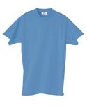 Hanes 4.5 oz 100% Ringspun Cotton nano-T-shirt