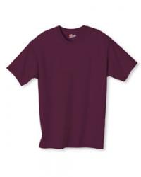 Hanes 6.1 oz. 100% Cotton Tee