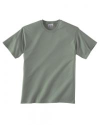 Hanes Heavyweight 50/50 Tee