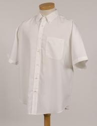 DELEGATE Wrinkle-Resistant Short Sleeve Shirt