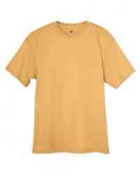 Hanes 6.1 oz. 100% Cotton Tee