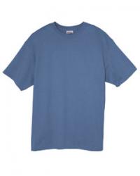 Hanes Heavyweight 50/50 Tee