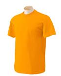 Gildan 5.3 oz Heavy Cotton T-Shirt