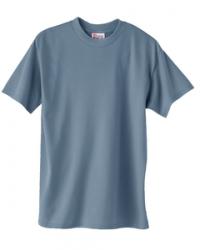 Hanes Heavyweight 50/50 Tee