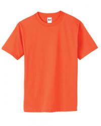 Hanes 6.1 oz. 100% Cotton Tee