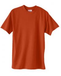 Hanes Heavyweight 50/50 Tee