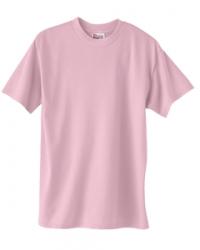 Hanes Heavyweight 50/50 Tee