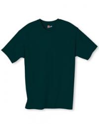 Hanes 6.1 oz. 100% Cotton Tee