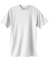 Hanes Heavyweight 50/50 Tee