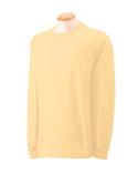 Gildan 6oz 100% Cotton Long Sleeve Tee 